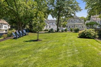 Courtyard with green space